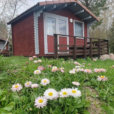 ホテル Paeevatalu Camping Vilusi エクステリア 写真