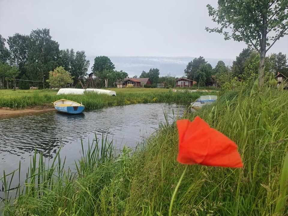 ホテル Paeevatalu Camping Vilusi エクステリア 写真