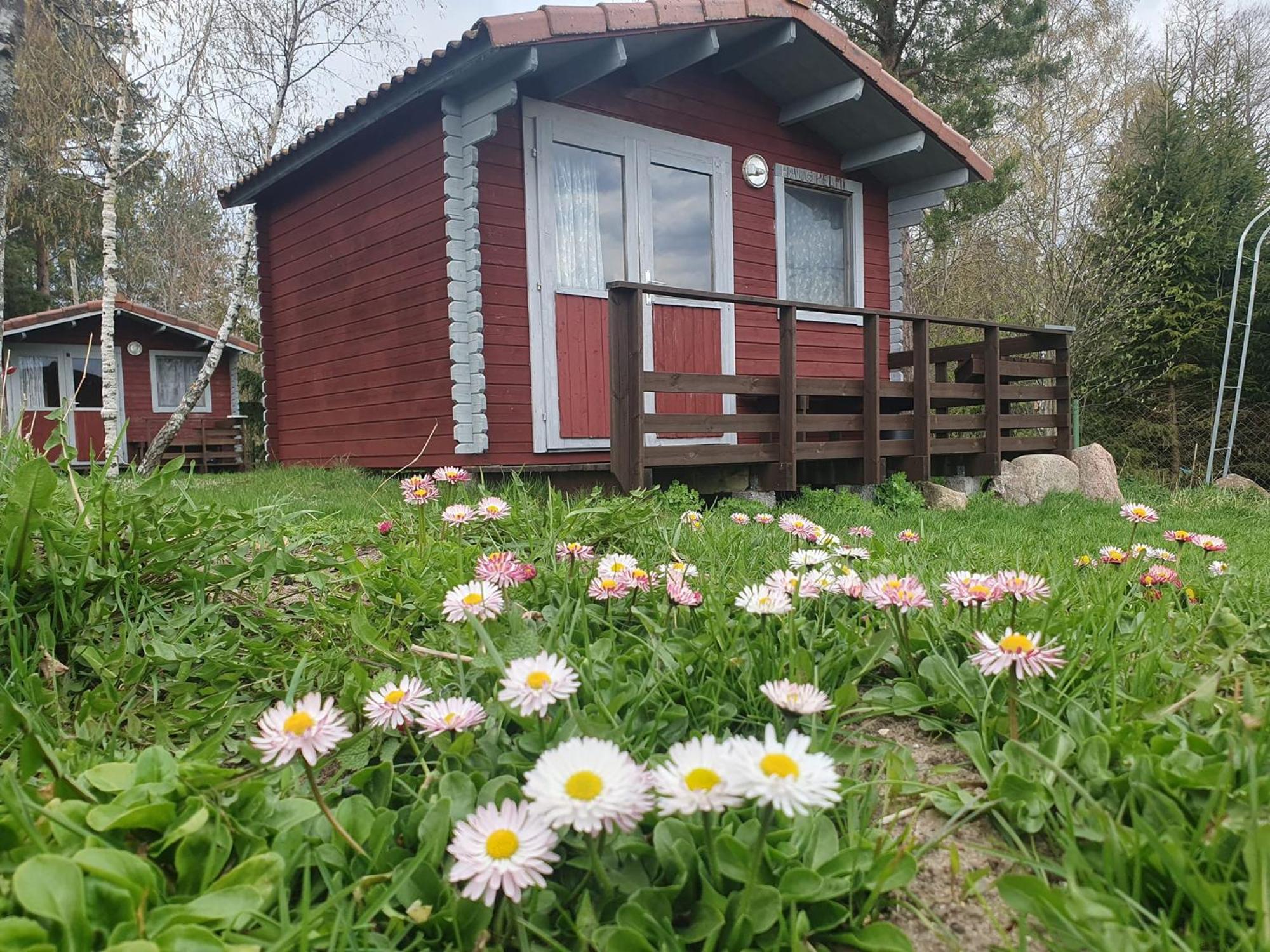 ホテル Paeevatalu Camping Vilusi エクステリア 写真